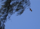 Khao Lak und Koh Payam