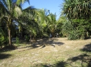 Khao Lak und Koh Payam
