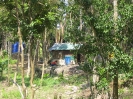 Krabi und Phi Phi