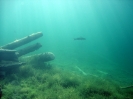 Bergseetauchen im Blindsee
