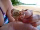 Thailand 2009