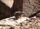 GrandCanyonTour_12