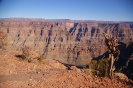 GrandCanyonTour_14