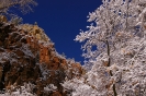 Zion National Park
