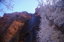 ZionNationalPark_4
