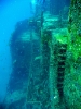 Underwater_7