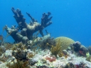 Underwater_16