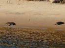 Lake Michigan Tour_22