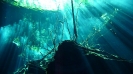 Cenotes_13