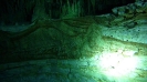 Cenotes_17