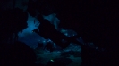 Cenotes_22