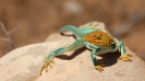 SWJG_UPLOAD_IMAGENAME_SEPARATOR28
