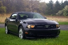 Mustang....