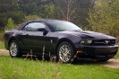 Mustang....
