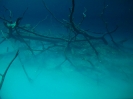 Playa del Carmen 2012
