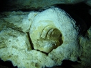 Playa 2012_29