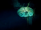Playa 2012_45