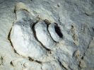 Playa 2012_4