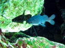 Playa 2012_53