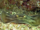 SeaOfCortez_32