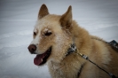 Calgary - Banff_43