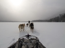 Calgary - Banff_46