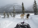 Calgary - Banff_49