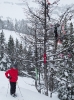 Calgary - Banff_55
