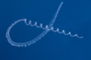Chicago Air and Water Show_4