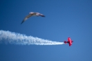 Chicago Air and Water Show_5