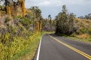 Big Island_30
