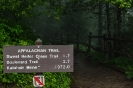 Smoky Mountains_26