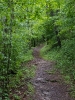 Smoky Mountains_28