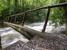 Smoky Mountains_29