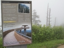 Smoky Mountains_31