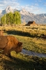 Grand Teton_12
