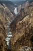 Yellowstone_31