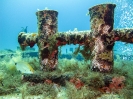 Malta - Unterwasser_8