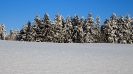 Winter in Weihers_6