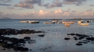 Mauritius Land_31