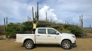 Bonaire-Curacao - Die Insel_12