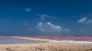 Bonaire-Curacao - Die Insel_6