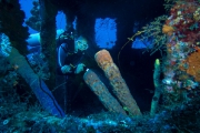 Bonaire-Curacao - Unterwasser_16