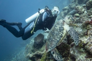 Bonaire-Curacao - Unterwasser_20