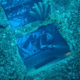 Bonaire-Curacao
