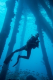 Bonaire-Curacao - Unterwasser_4