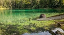 Fernsteinsee - Samarangersee 2019_1